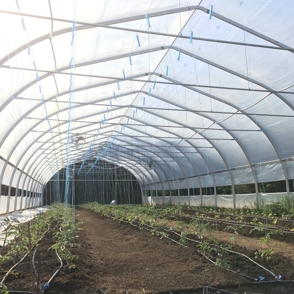Ferme EcoLoko | 197 Rang des Collines, Brébeuf, QC J0T 1B0, Canada | Phone: (514) 295-2917