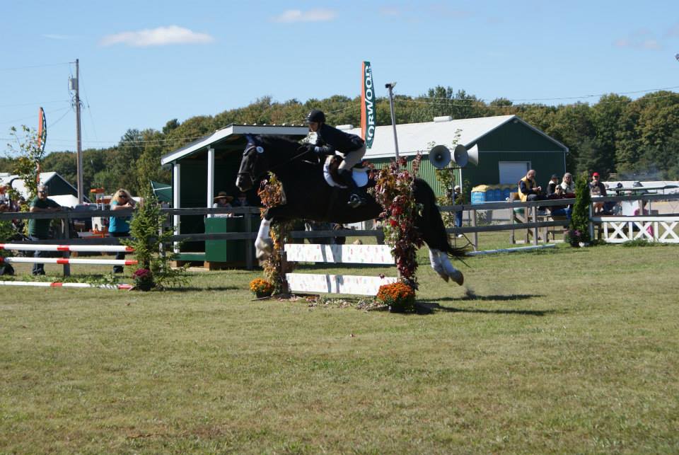Langman Farms & Equestrian Centre | 2591 Bass Lake Side Rd E, Oro-Medonte, ON L3V 2Z2, Canada | Phone: (705) 345-9689