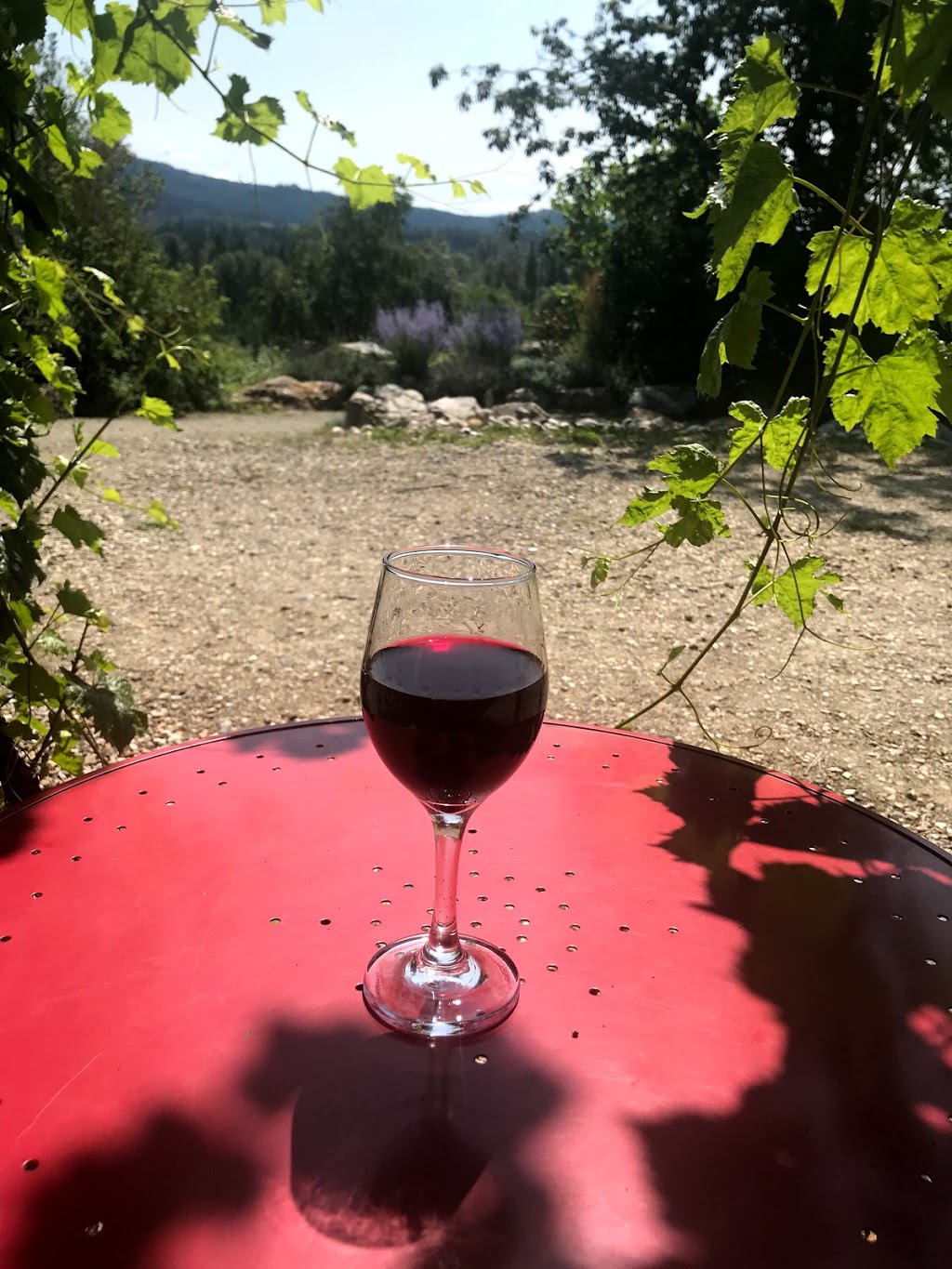Marionette Winery | 2540 40th St NE, Salmon Arm, BC V1E 1Z3, Canada | Phone: (250) 832-7702