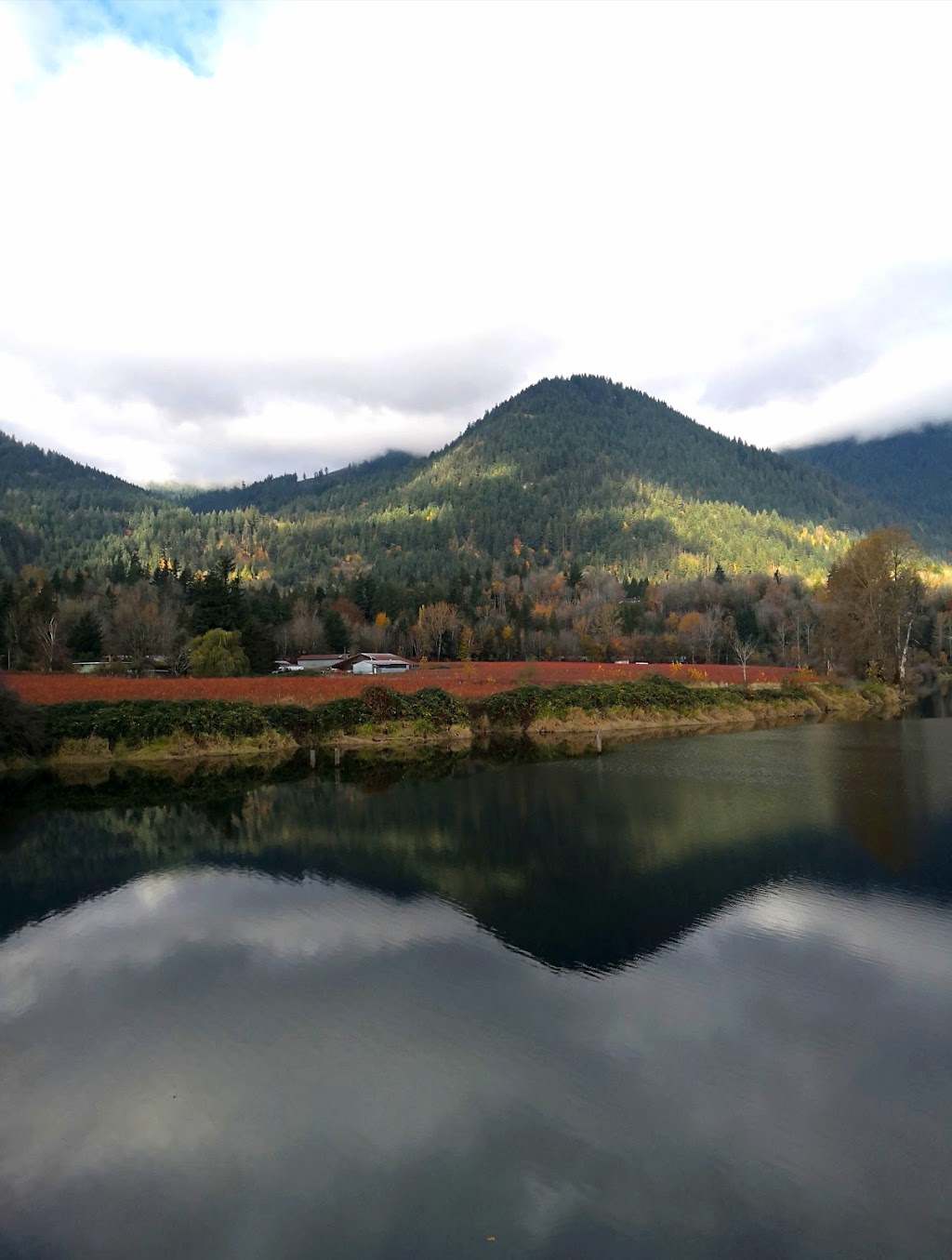 Eagle Eye Gallery | 41705 Taylor Rd, Deroche, BC V0M 1G0, Canada | Phone: (604) 826-4459