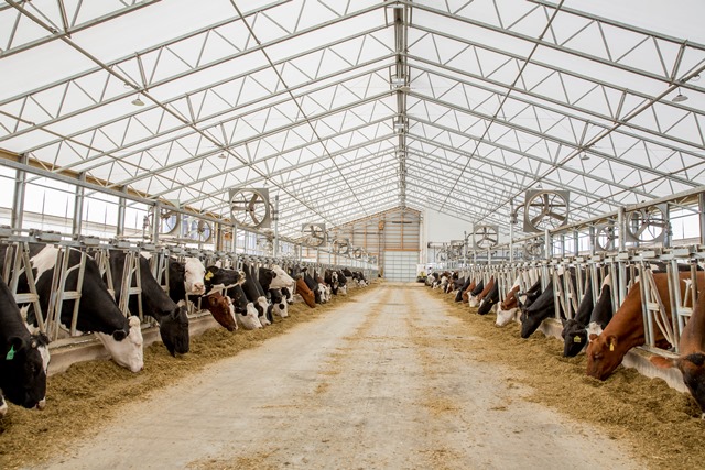 We Cover Structures | 22694 Victoria Rd, Thamesville, ON N0P 2K0, Canada | Phone: (519) 692-9900