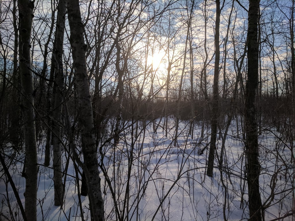 Brenda Leipsic Off-leash Dog Park | Hurst Way, Winnipeg, MB R3T 0W7, Canada | Phone: (877) 311-4974