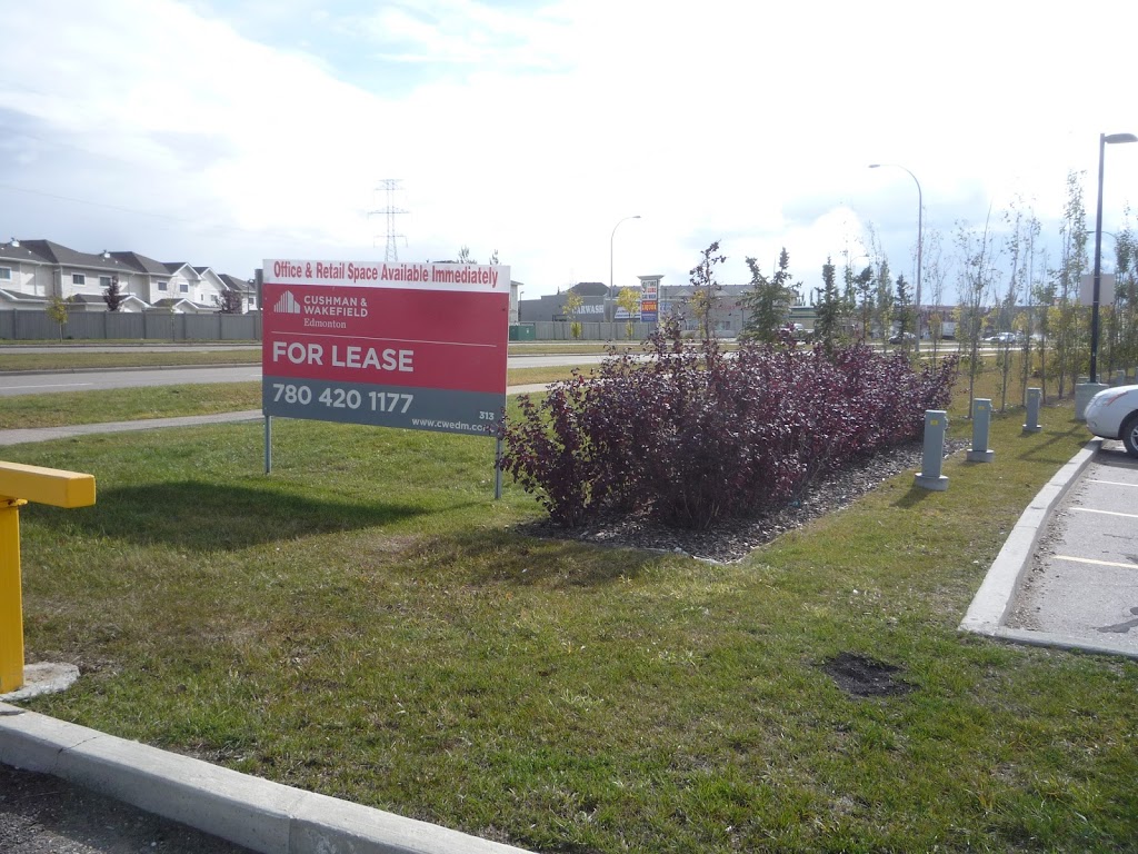 My Gym Childrens Fitness Center | 232 91 St SW, Edmonton, AB T6X 1W8, Canada | Phone: (780) 628-4440
