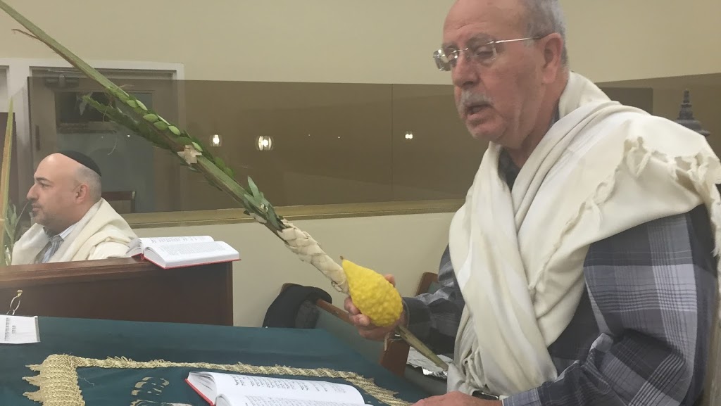 Tiferet Israel Congregation | 756 Sheppard Ave W, North York, ON M3H 2S8, Canada | Phone: (416) 633-1874