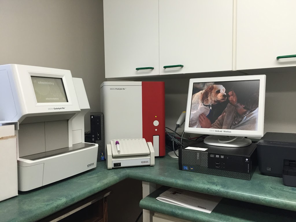 King Hopkins Pet Hospital | 120 Hopkins St, Whitby, ON L1N 2B7, Canada | Phone: (905) 665-6369