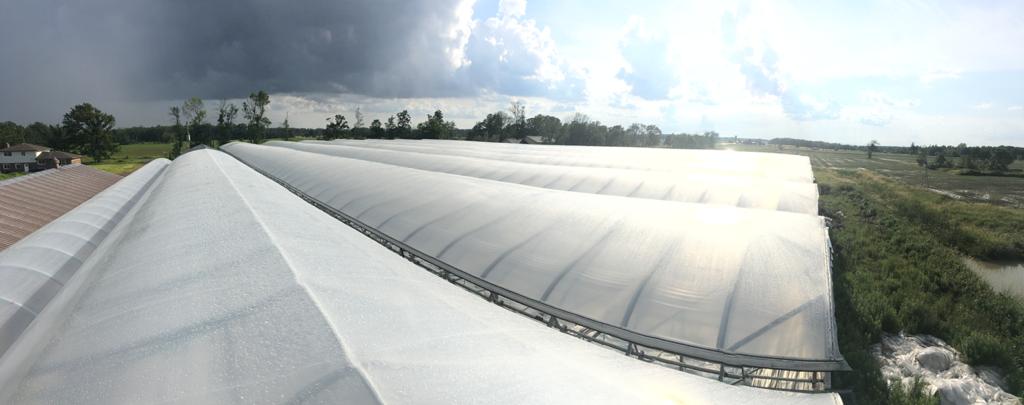 Loesen Inc | 556 ON-77, Leamington, ON N8H 3V8, Canada | Phone: (519) 890-9502