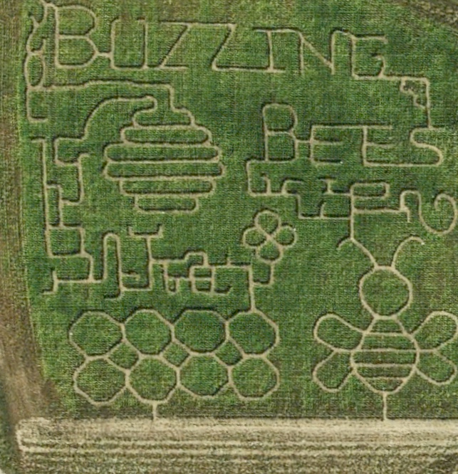 Buzzing Bees Adventure Farm | 1070 Concession Rd 5, Sunderland, ON L0C 1H0, Canada | Phone: (905) 409-4626