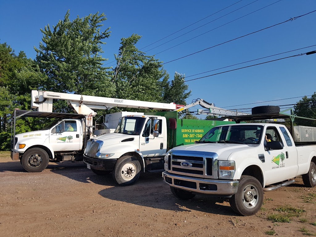 Martel Tree Service | 40 Teesdale St, Moncton, NB E1A 5K5, Canada | Phone: (506) 387-7342