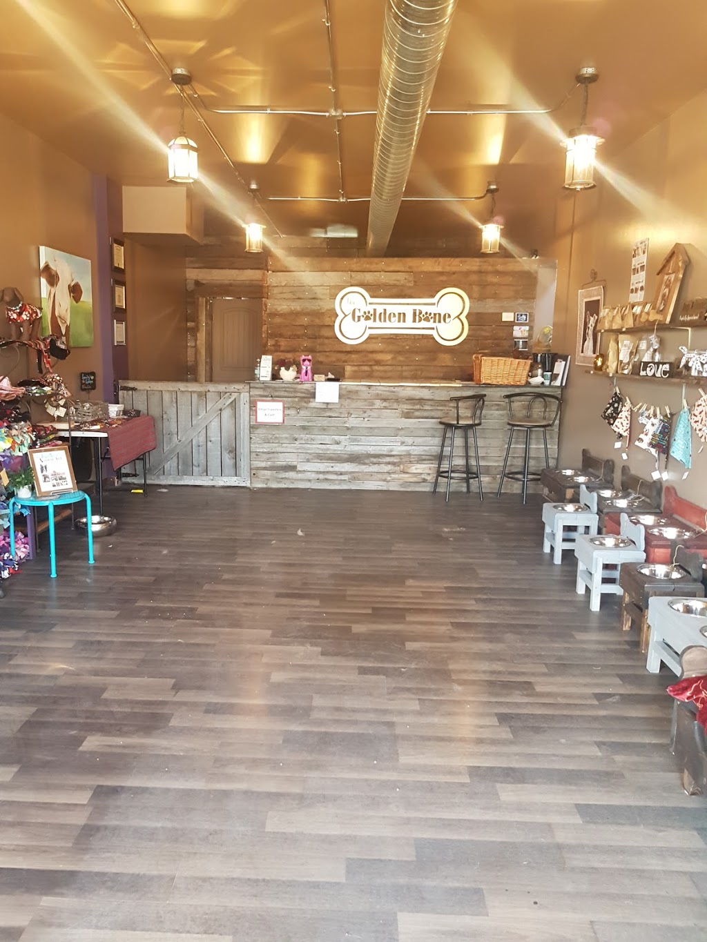 The Golden Bone | 4740 50 Ave, Calmar, AB T0C 0V0, Canada | Phone: (780) 903-2880