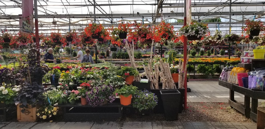 Country Basket Garden Centre & Flower Boutique | 10008 Lundys Ln, Niagara Falls, ON L2H 0T6, Canada | Phone: (905) 358-5811