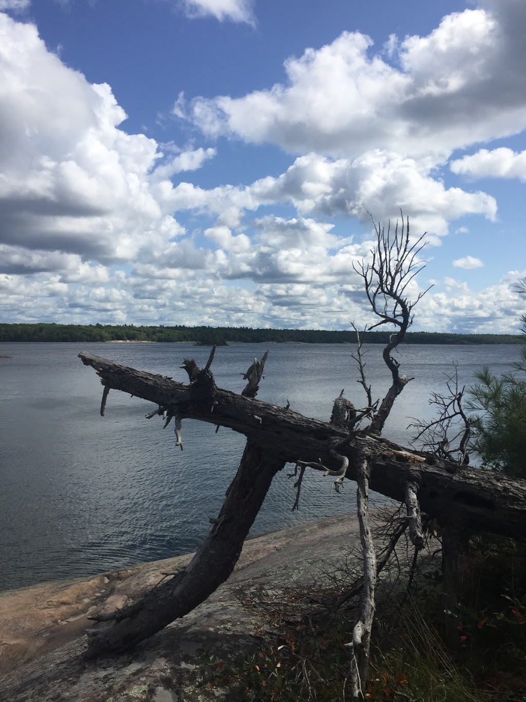 Twin Points Trail | Unnamed Road, Killbear Park, ON P0G, Canada | Phone: (705) 342-5492