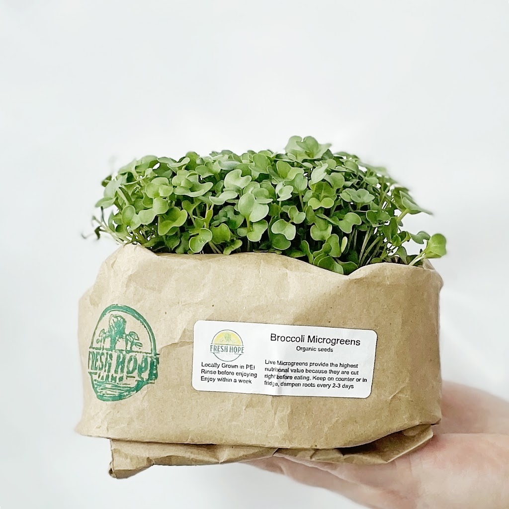 Fresh Hope Farms | 1880 N York River Rd, Warren Grove, PE C0A 1H5, Canada | Phone: (902) 940-4609
