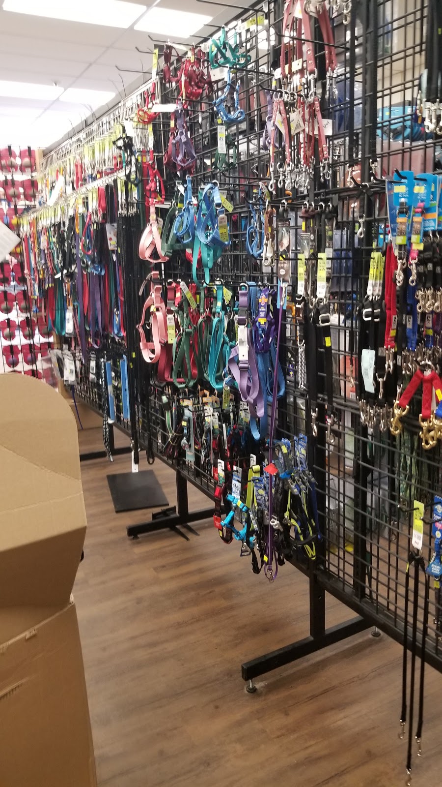 G&E Pharmacy | 7326 82 Ave NW, Edmonton, AB T6B 0G2, Canada | Phone: (780) 469-7667