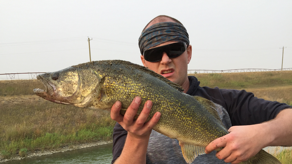 Albertahuntingandfishingguide.ca | 224 Walden Parade SE, Calgary, AB T2X 2X6, Canada | Phone: (403) 714-3612