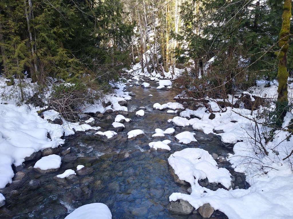 Holland Creek Trail | Heart Lake Trail, Ladysmith, BC V9G 1V4, Canada