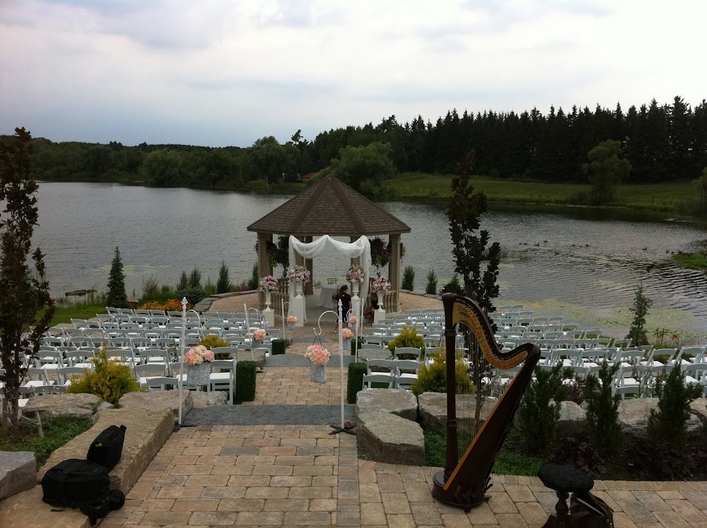 Chantal Dube the Harpist | 125 Dorothy St, Welland, ON L3B 3V8, Canada | Phone: (416) 909-9944