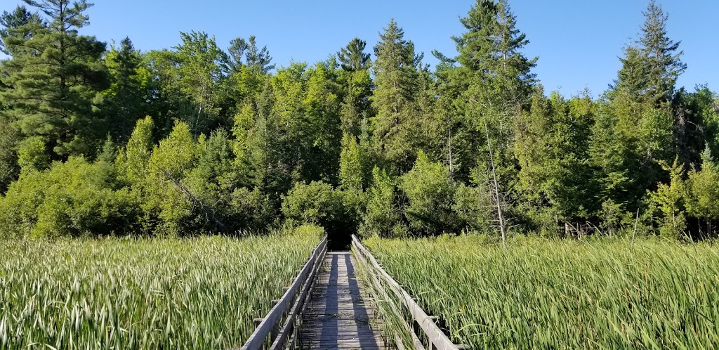 Jack Pine Trail | Moodie Dr, Nepean, ON K2R 1H4, Canada