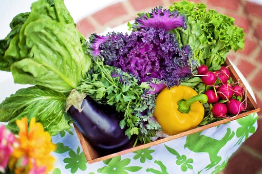 Becky Ds Nutrition | 3 MacKay Ave, London, ON N6J 2T5, Canada | Phone: (519) 282-3092