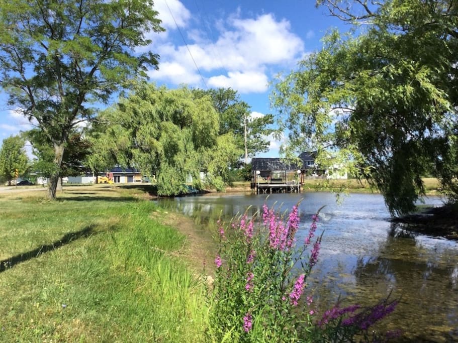 Ray’s Farm | 4244 Firelane 17, Sherkston, ON L0S 1R0, Canada | Phone: (289) 668-5530