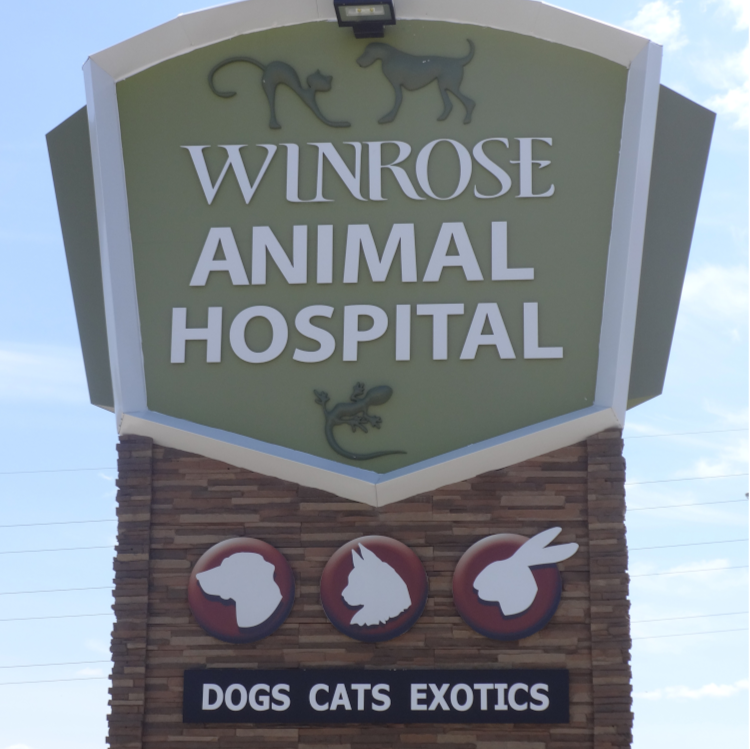 WinRose Animal Hospital | 534 St Annes Rd, Winnipeg, MB R2M 3G1, Canada | Phone: (204) 254-3150