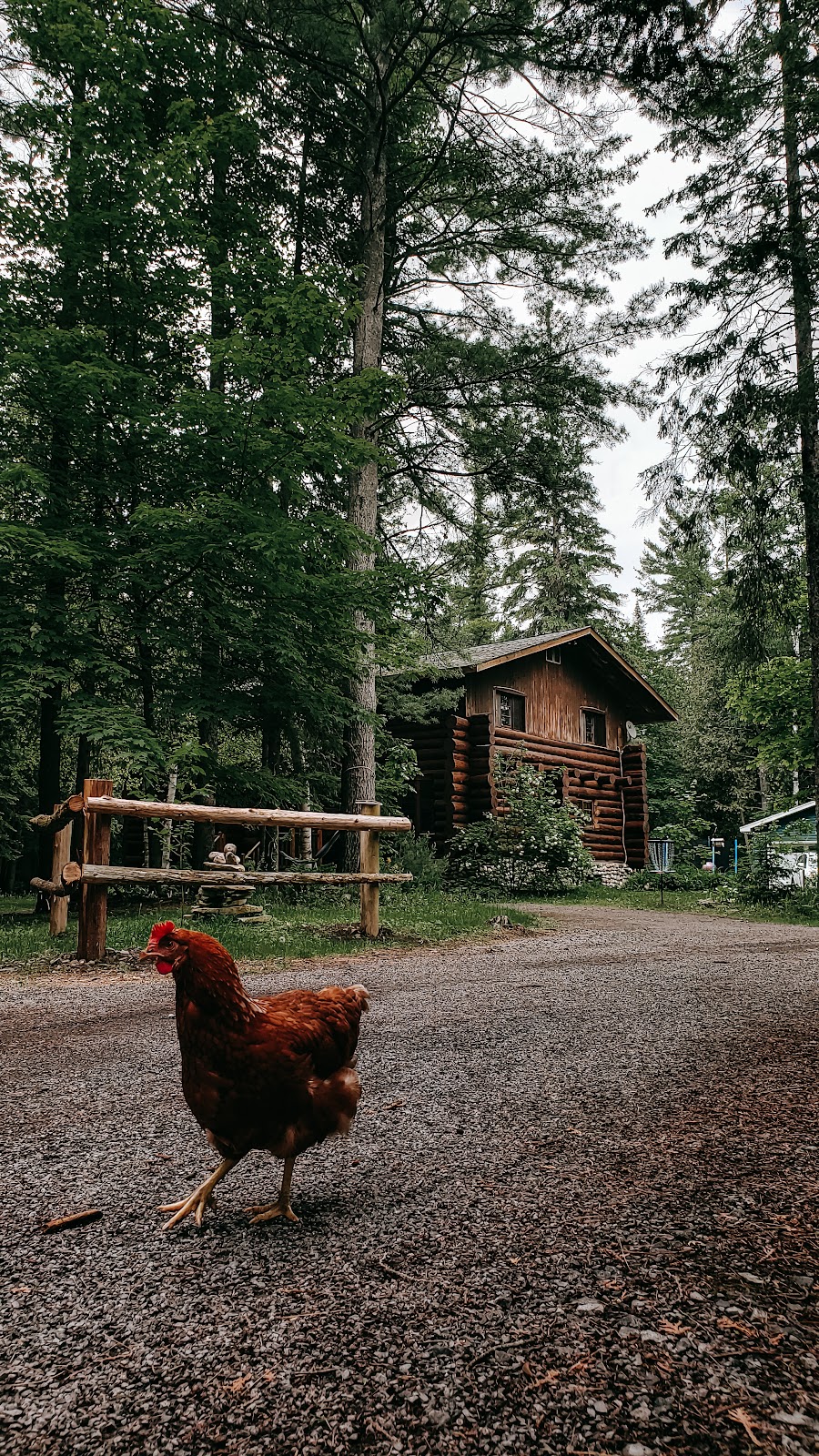 Healing At The Cabin | 8 Lucas Ln, Ottawa, ON K2S 1S5, Canada | Phone: (613) 866-4027