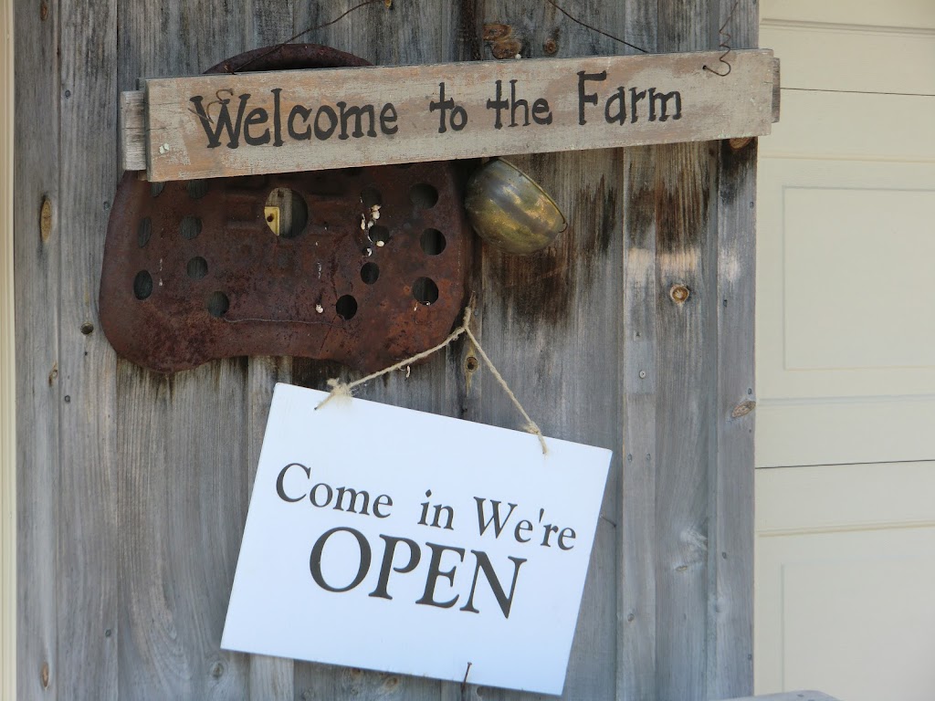 Lanesend Farm and Fiber | 3143 Hwy 7, Reaboro, ON K0L 2X0, Canada | Phone: (705) 324-9413