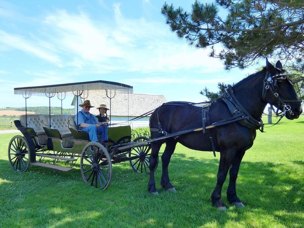 Matthews Carriage Ride | 4542 PE-20, Park Corner, PE C0B 1M0, Canada | Phone: (800) 665-2663
