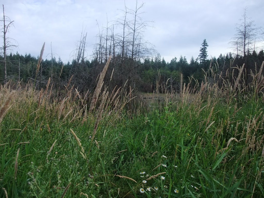 Coats Marsh Regional Park | 908 South Road, Gabriola, BC V0R 1X4, Canada | Phone: (250) 248-3252