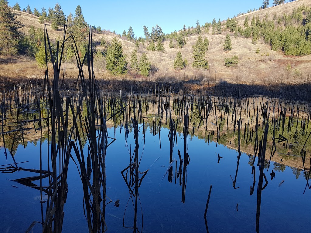 North Glenmore Dog Park | 2150 Glenmore Rd N, Kelowna, BC V1V 2C5, Canada | Phone: (250) 469-8503