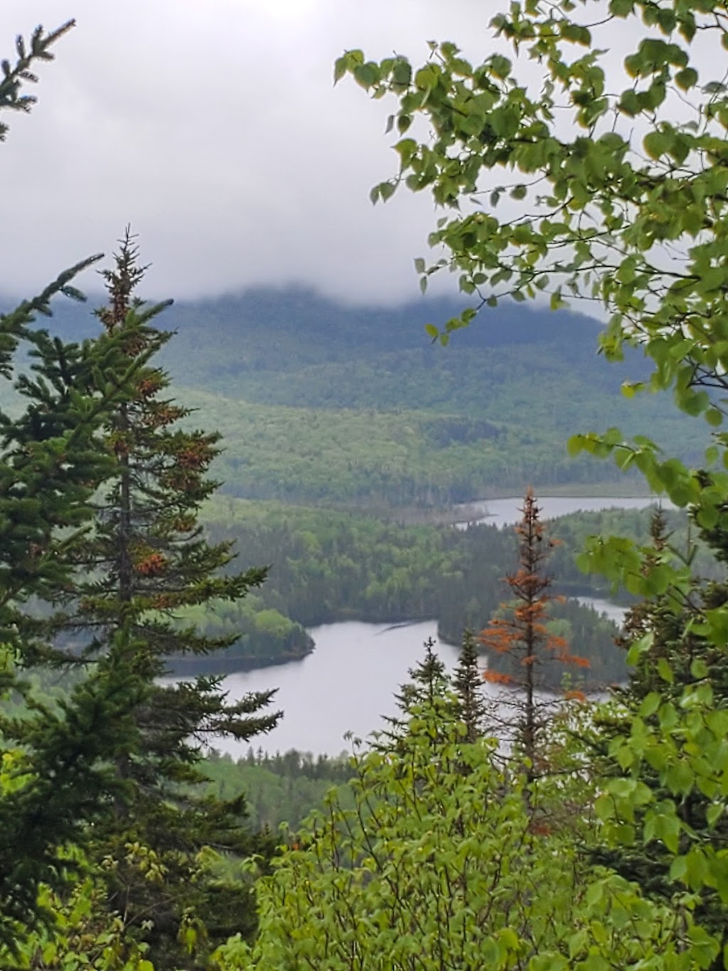 Mountain Trail Ouareau (National Trail) | QC-125, Notre-Dame-de-la-Merci, QC J0T 2A0, Canada | Phone: (450) 884-0484