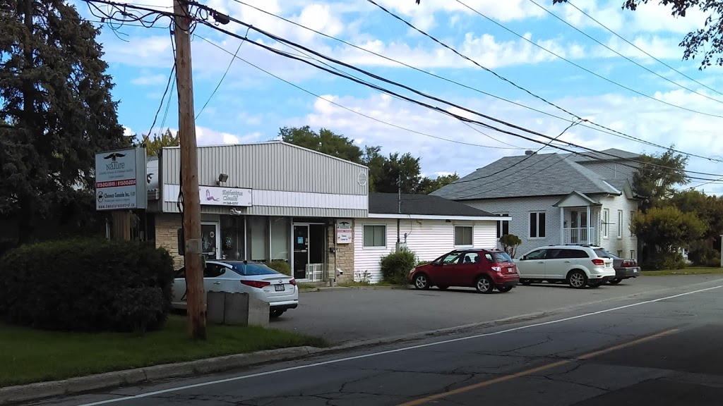 Nature | 97 Avenue Gatineau, Gatineau, QC J8T 4J4, Canada | Phone: (819) 243-9849