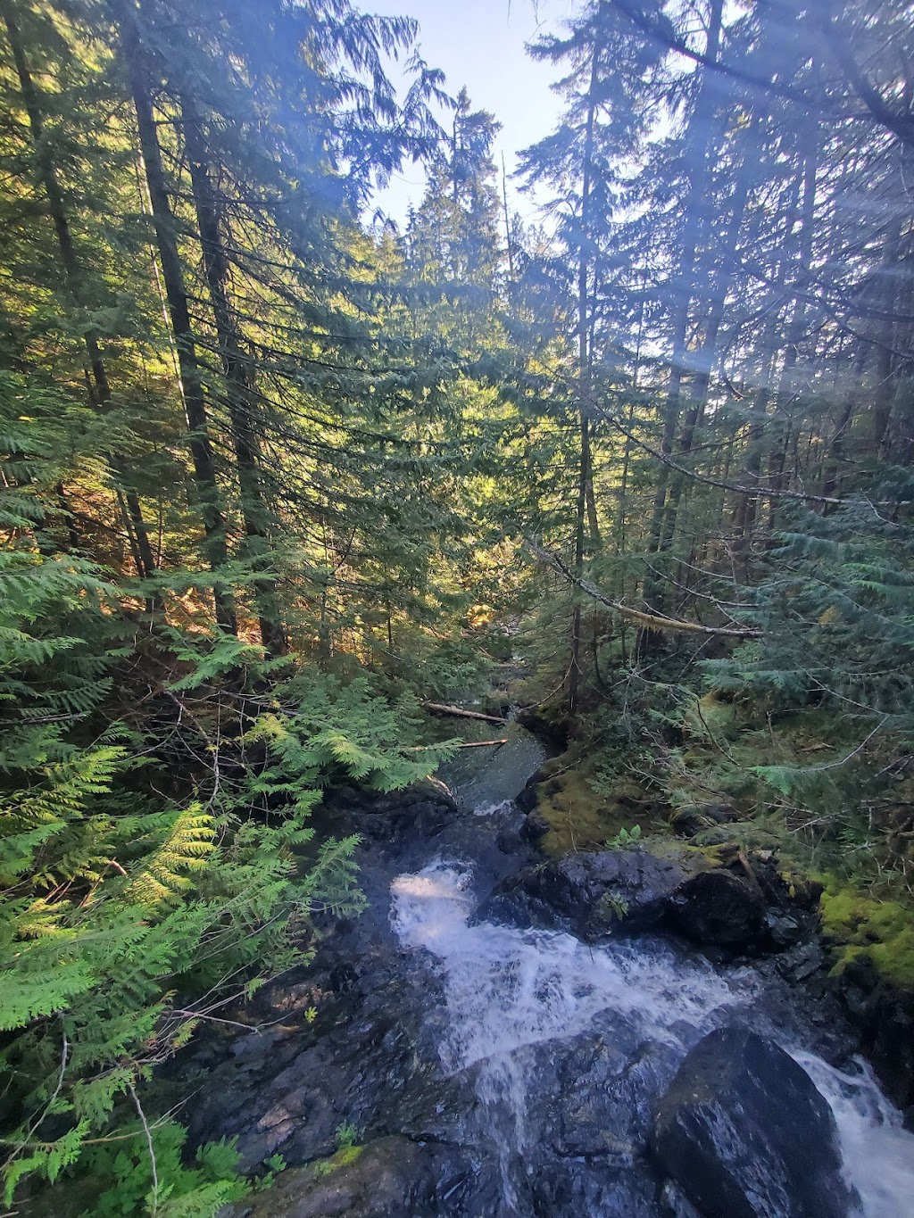 Arrowsmith CPR Regional Trail | Nanaimo, BC V0R 1M0, Canada | Phone: (250) 390-4111