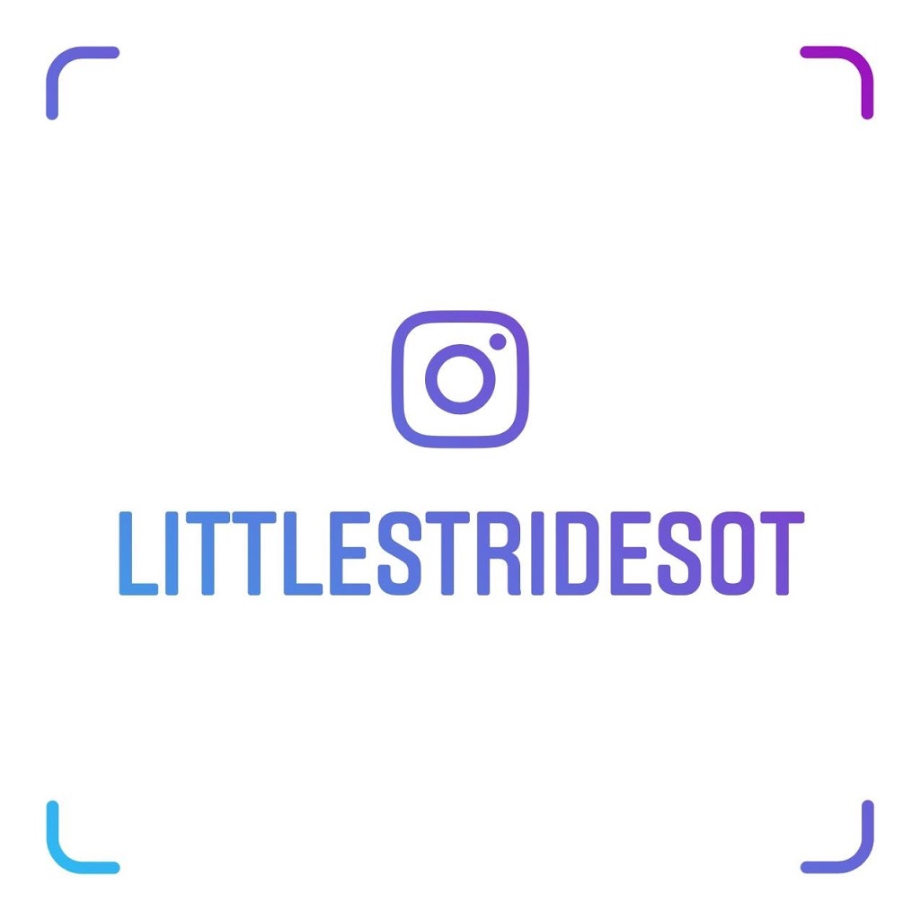 Little Strides Therapeutic Children’s Services | 181 Wynford Dr, North York, ON M3C 0C6, Canada | Phone: (289) 204-8527