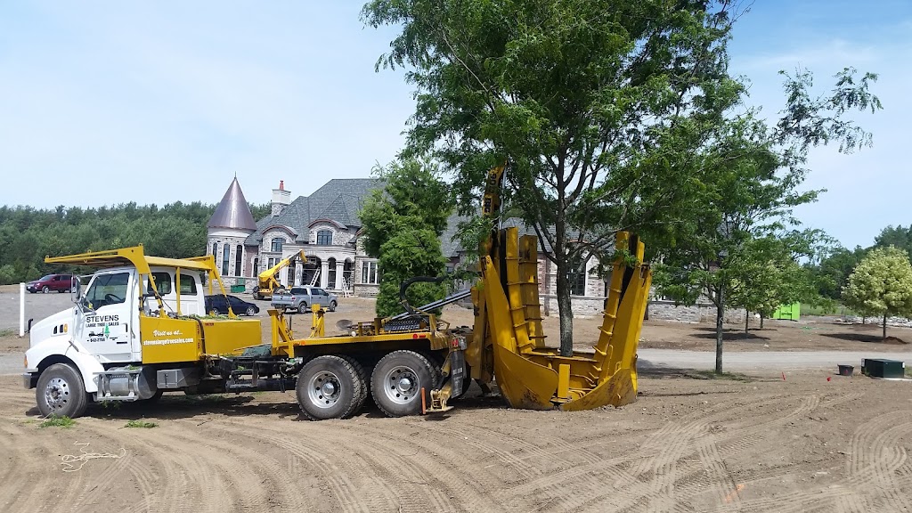 Stevens Large Tree Sales | 6556 Bethesda Rd, Whitchurch-Stouffville, ON L4A 3A7, Canada | Phone: (905) 642-2758