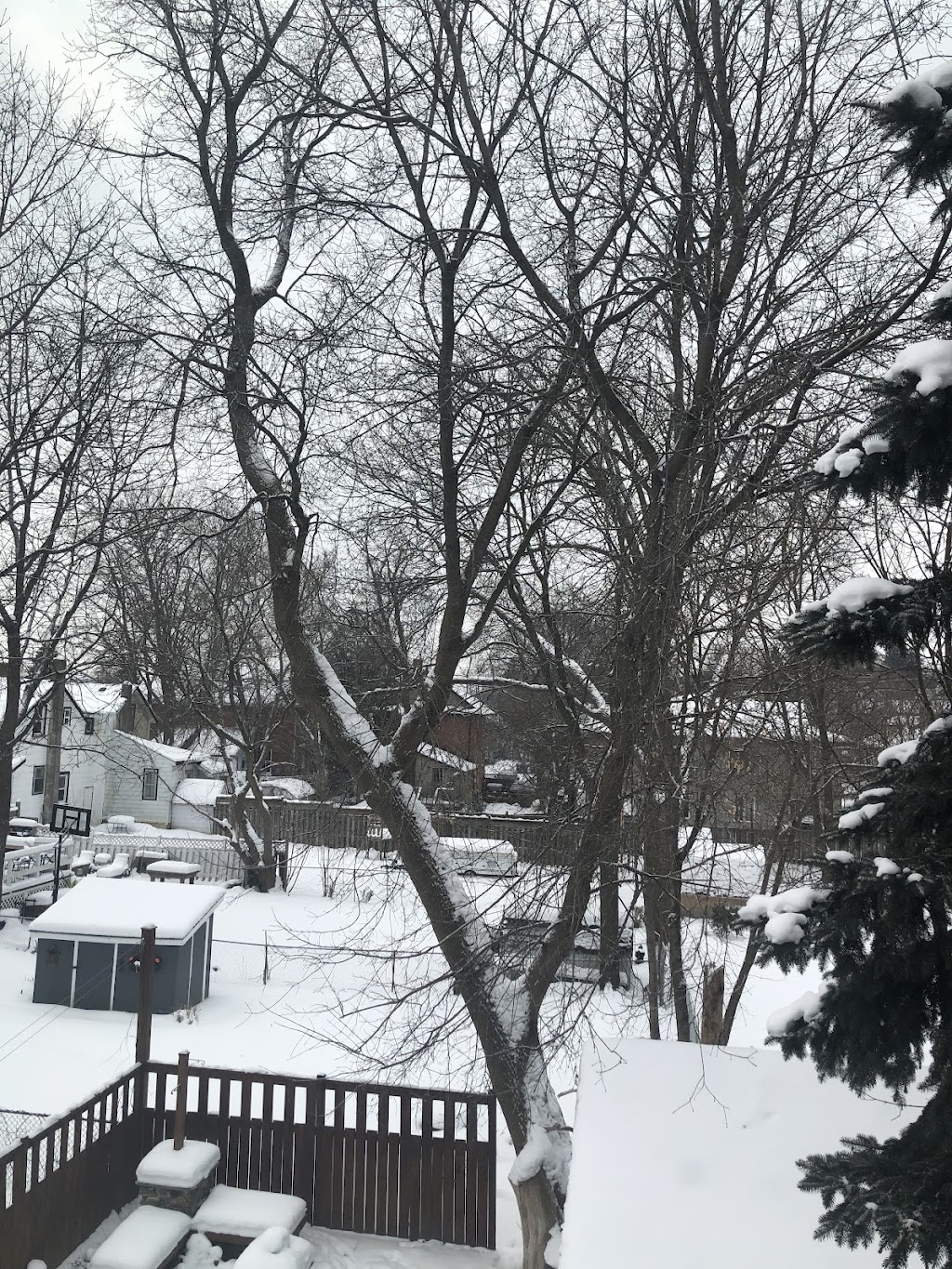 Oxley Tree Care Inc. | 5053 10th Sideroad, Thornton, ON L0L 2N0, Canada | Phone: (705) 896-2064