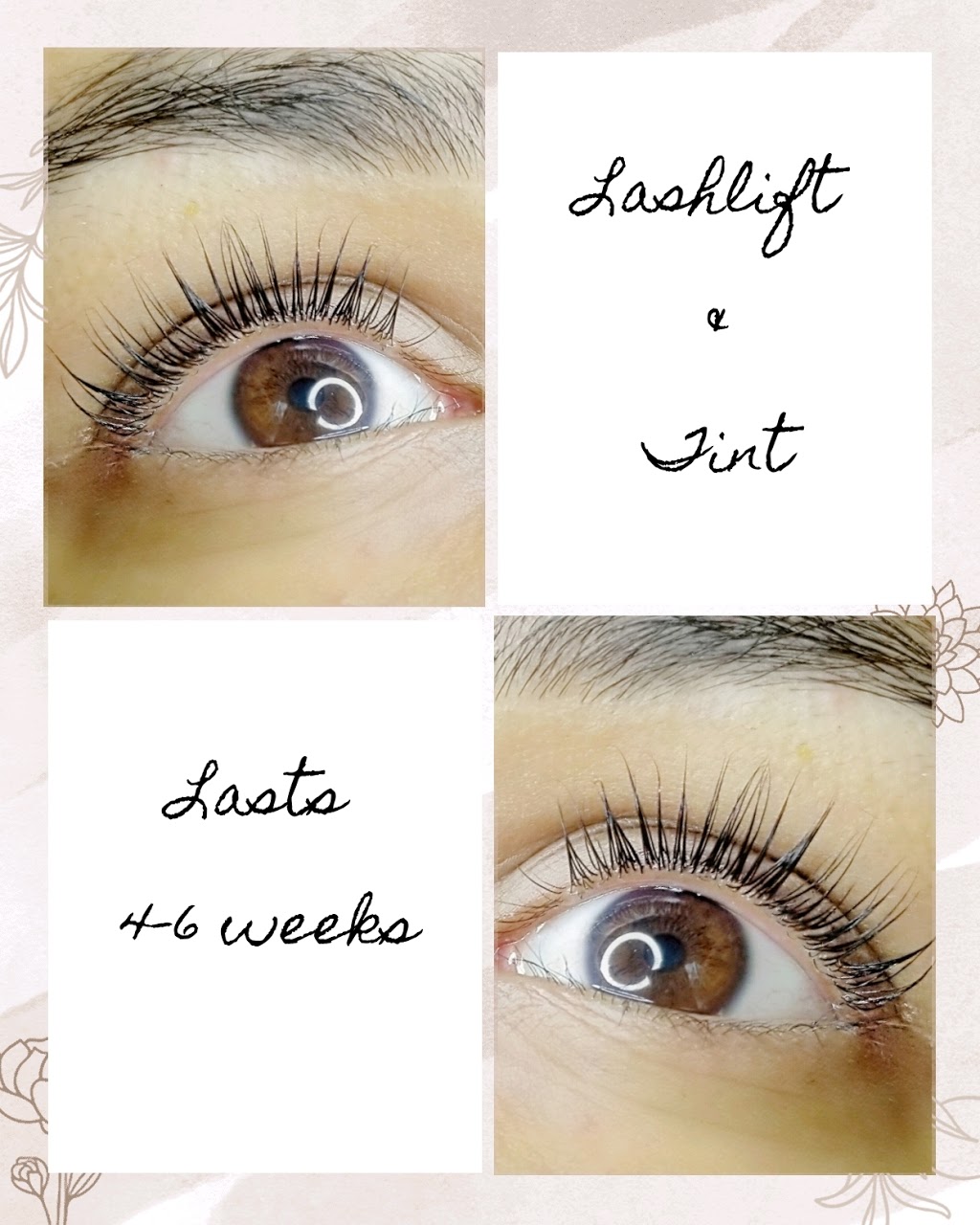 T.O Lash Studio | 15 Saddleback Ct, Scarborough, ON M1B 2M3, Canada | Phone: (647) 242-4075