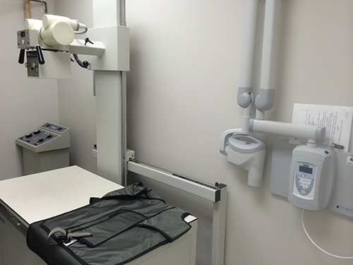 Vanier Animal Hospital | 23-C Selkirk St (Located in Eastview Plaza), Ottawa, ON K1L 6N1, Canada | Phone: (613) 748-1234