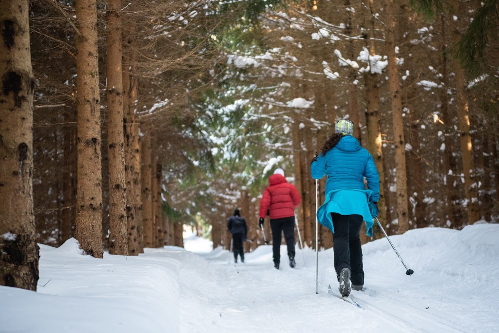 Club Sportif Les Appalaches Inc | 121 Chemin des Appalaches E, Lamartine, QC G0R 1X0, Canada | Phone: (418) 247-3271