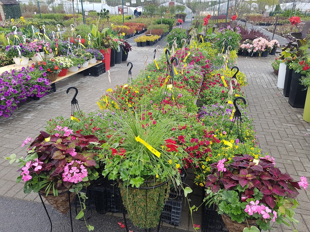 J.A. Laporte Flowers & Nursery | 455 Famille-Laporte Ave, Orléans, ON K4A 0Y7, Canada | Phone: (613) 833-2316