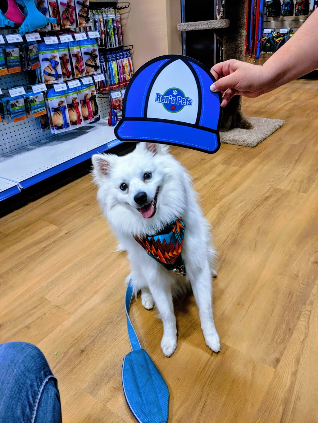 Rens Pets Halifax | 212 Chain Lake Dr #2, Halifax, NS B3S 1C5, Canada | Phone: (902) 982-3947