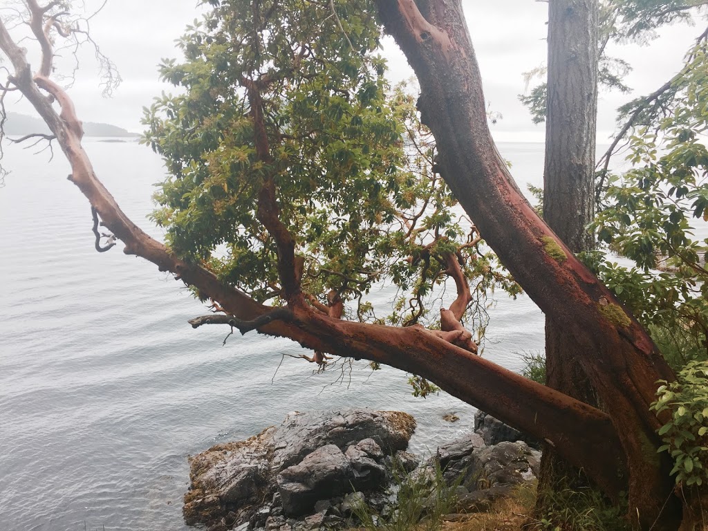 Spirit Bay Visitor Centre | 1103 Marina Dr, Sooke, BC V9Z 1B6, Canada | Phone: (250) 478-7789