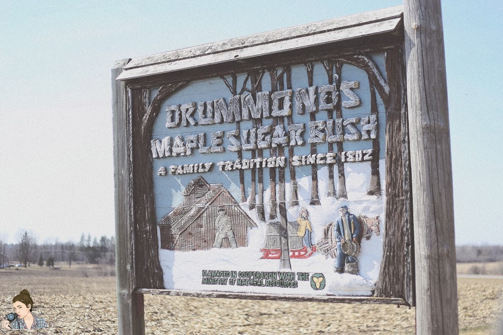 Drummonds Sugar Bush | 3717 County Rd 21, Spencerville, ON K0E 1X0, Canada | Phone: (613) 658-2188