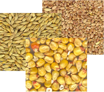Floradale Feed Mill Limited | 2131 Floradale Rd, Floradale, ON N0B 1V0, Canada | Phone: (519) 669-5478