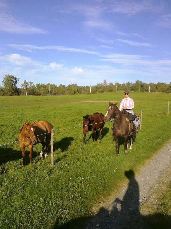 Ranch Tibalain | 209 Chemin de Béthanie, Béthanie, QC J0E 2L1, Canada | Phone: (514) 972-6789