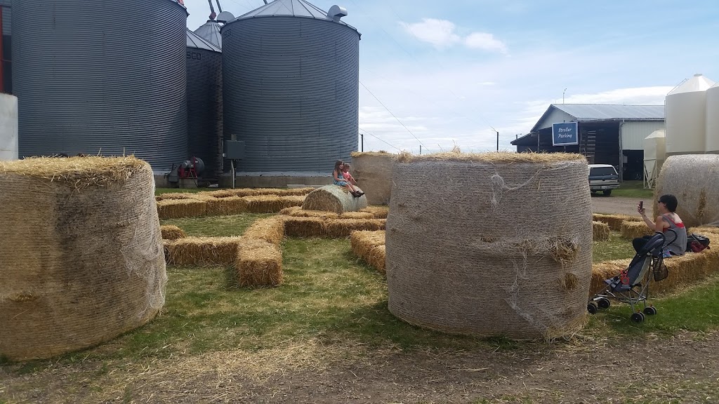 Edgar Farms | 1465 Township Rd 352, Innisfail, AB T4G 0M8, Canada | Phone: (403) 227-4120