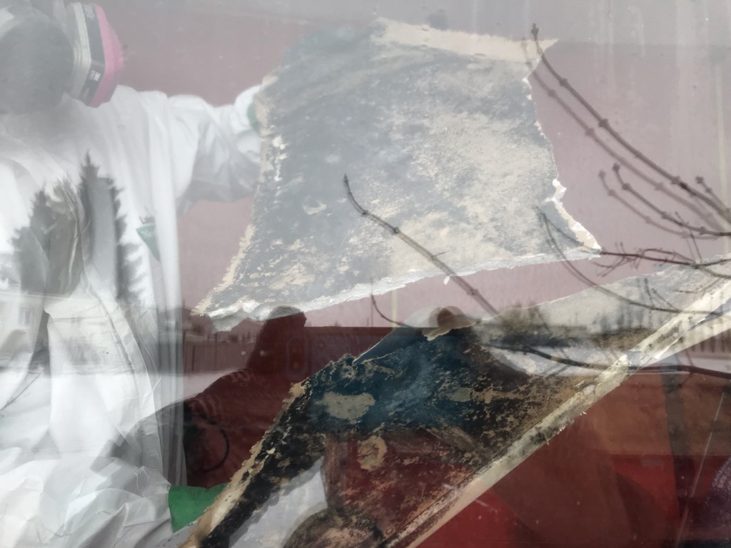 NO LIMIT Restorations & Carpet Cleaning | 7405 16 Ave SW, Edmonton, AB T6X 0E1, Canada | Phone: (780) 603-1106