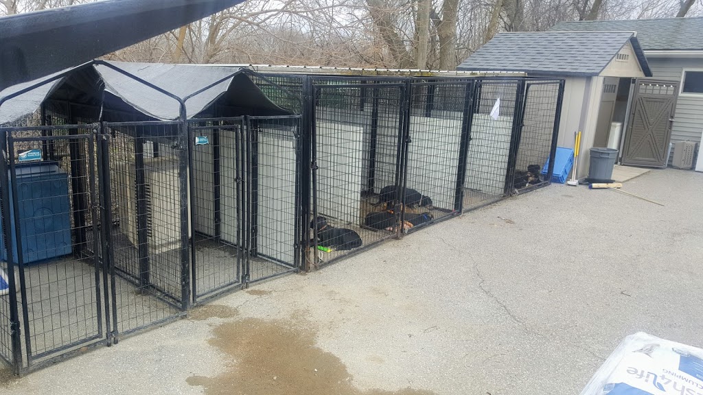 Brant County SPCA | 539 Mohawk St, Brantford, ON N3T 5M8, Canada | Phone: (519) 756-6620