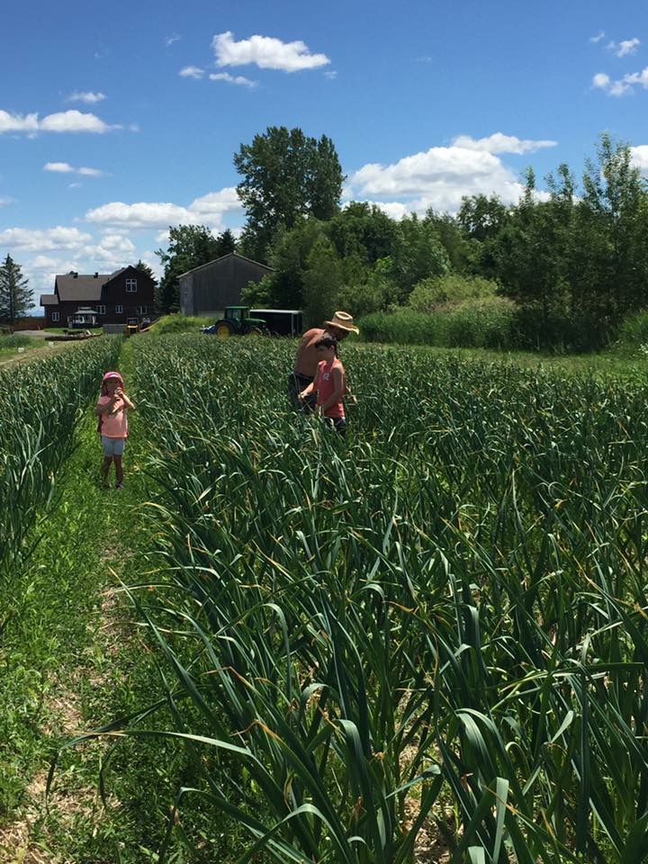 Ferme Ail Ail Ail Hudon Dubuc | 156 4e Rang N, Mont-Saint-Grégoire, QC J0J 1K0, Canada | Phone: (514) 444-4374