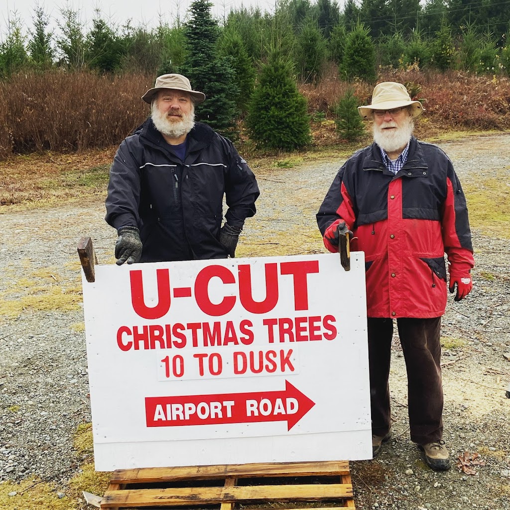 Alberni Christmas Trees | 7374 Airport Rd, Port Alberni, BC V9Y 8Y9, Canada | Phone: (403) 597-2269