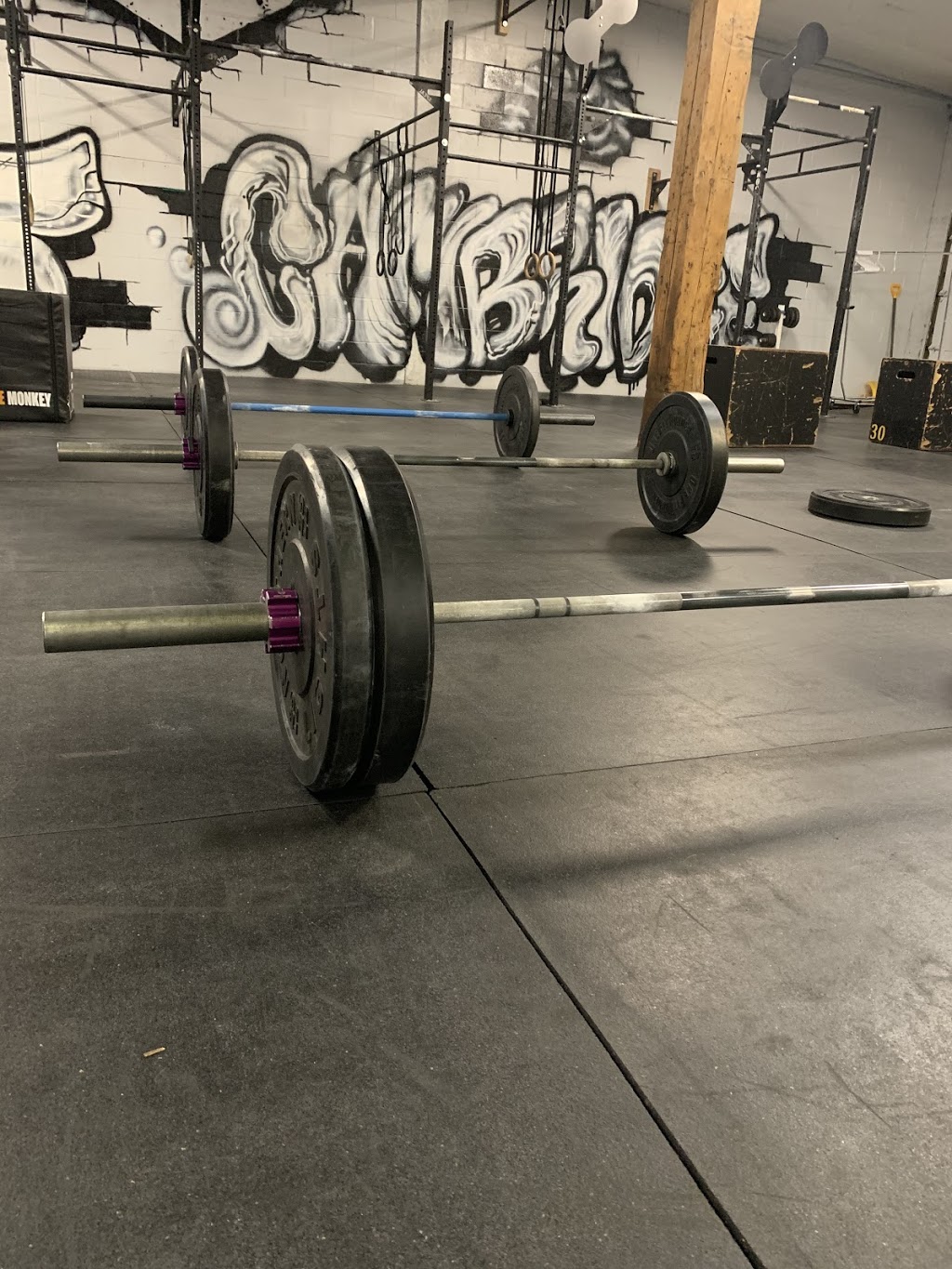 CrossFit Cambridge | 54 Guelph Ave, Cambridge, ON N3C 1A3, Canada | Phone: (519) 573-4373